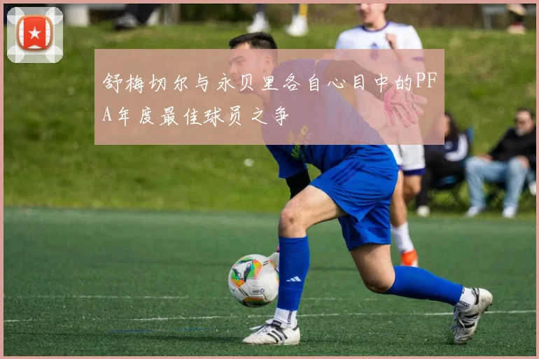 舒梅切尔与永贝里各自心目中的PFA年度最佳球员之争